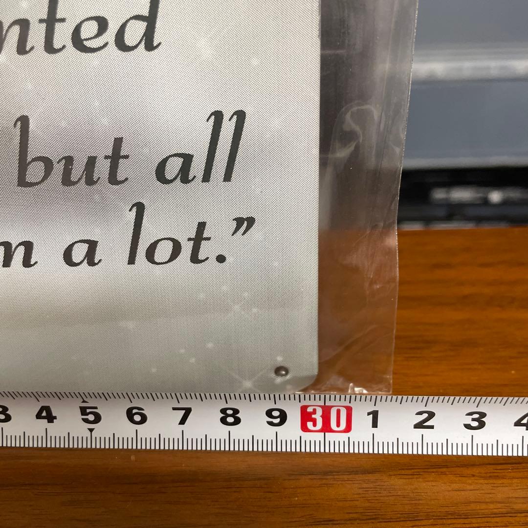 新品未開封未掲示品Marilyn Monroe モノクロ鉄製ポスター