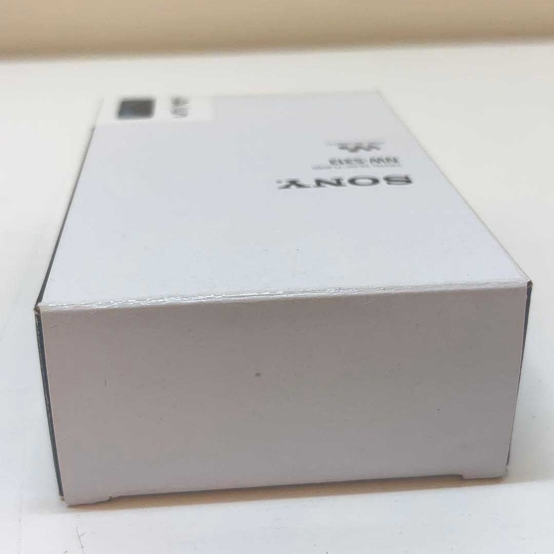 美品 SONY WALKMAN NW-S313 ブラック 付属品完備 4GB
