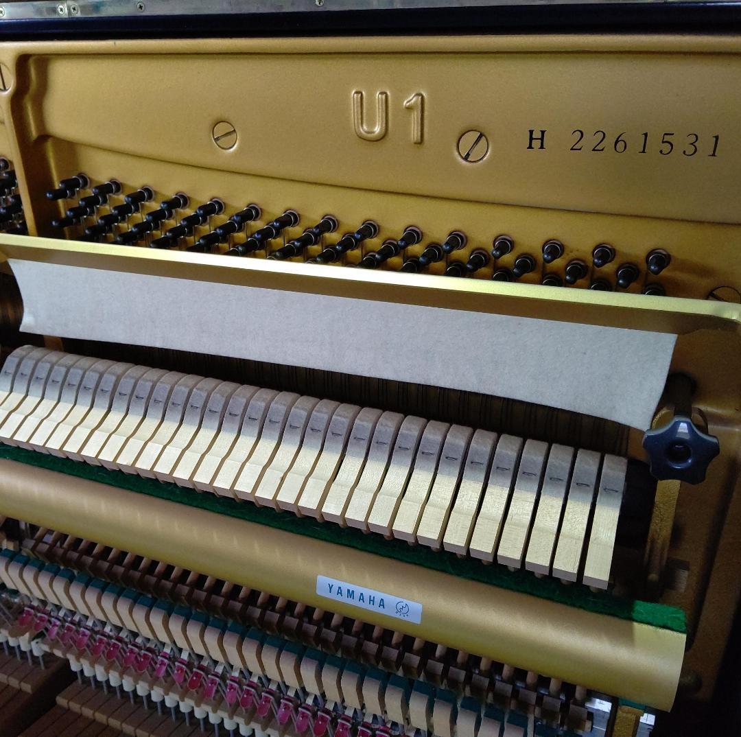 ヤマハ U1H【倉庫在庫～特に良い音のピアノを厳選 / 未整備・現状品渡し】