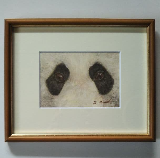 【原画】Animal-eyes『パンダ』(パステル画)