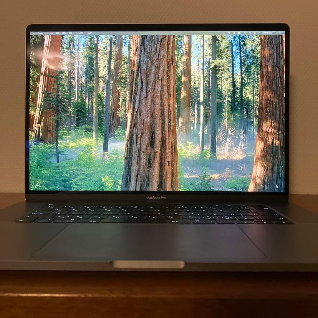 【美品/使用頻度少】MacBookPro 2019 16インチ 16GB