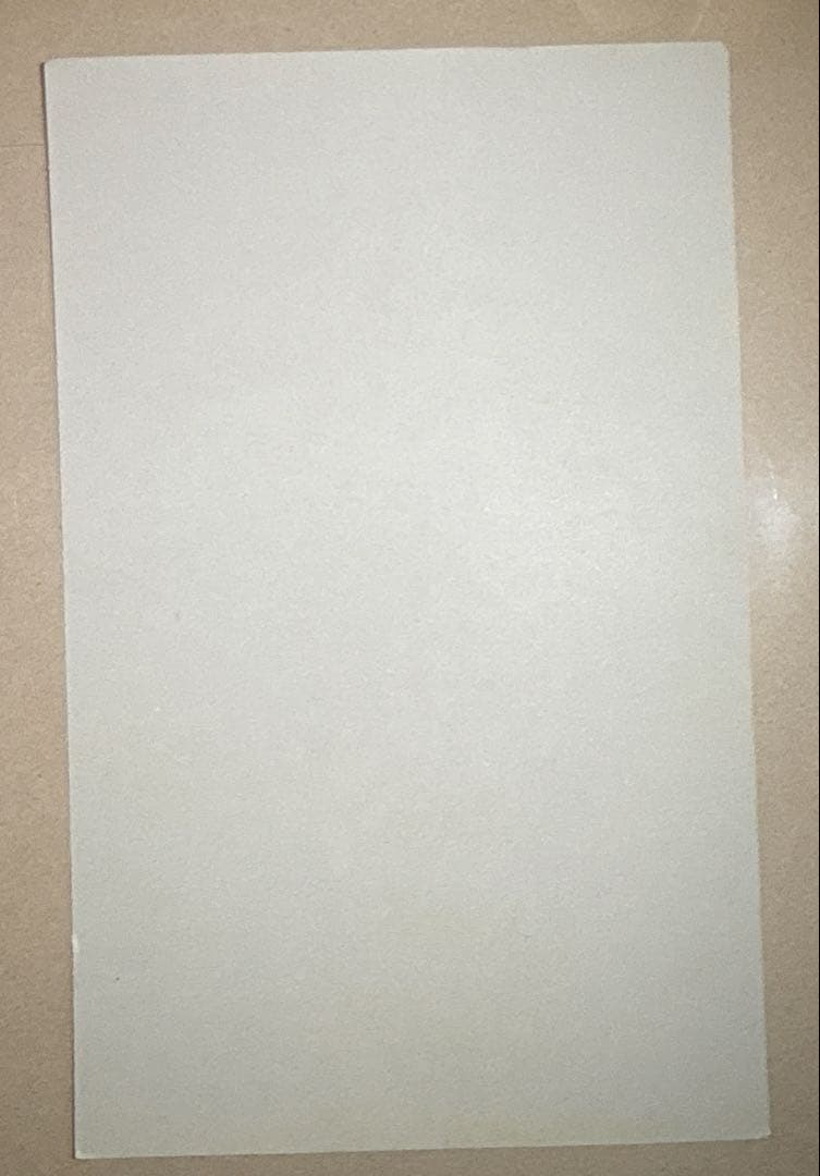 ドラゴンボール カードダス100 ディスプレイ台紙 CARD GAME 2