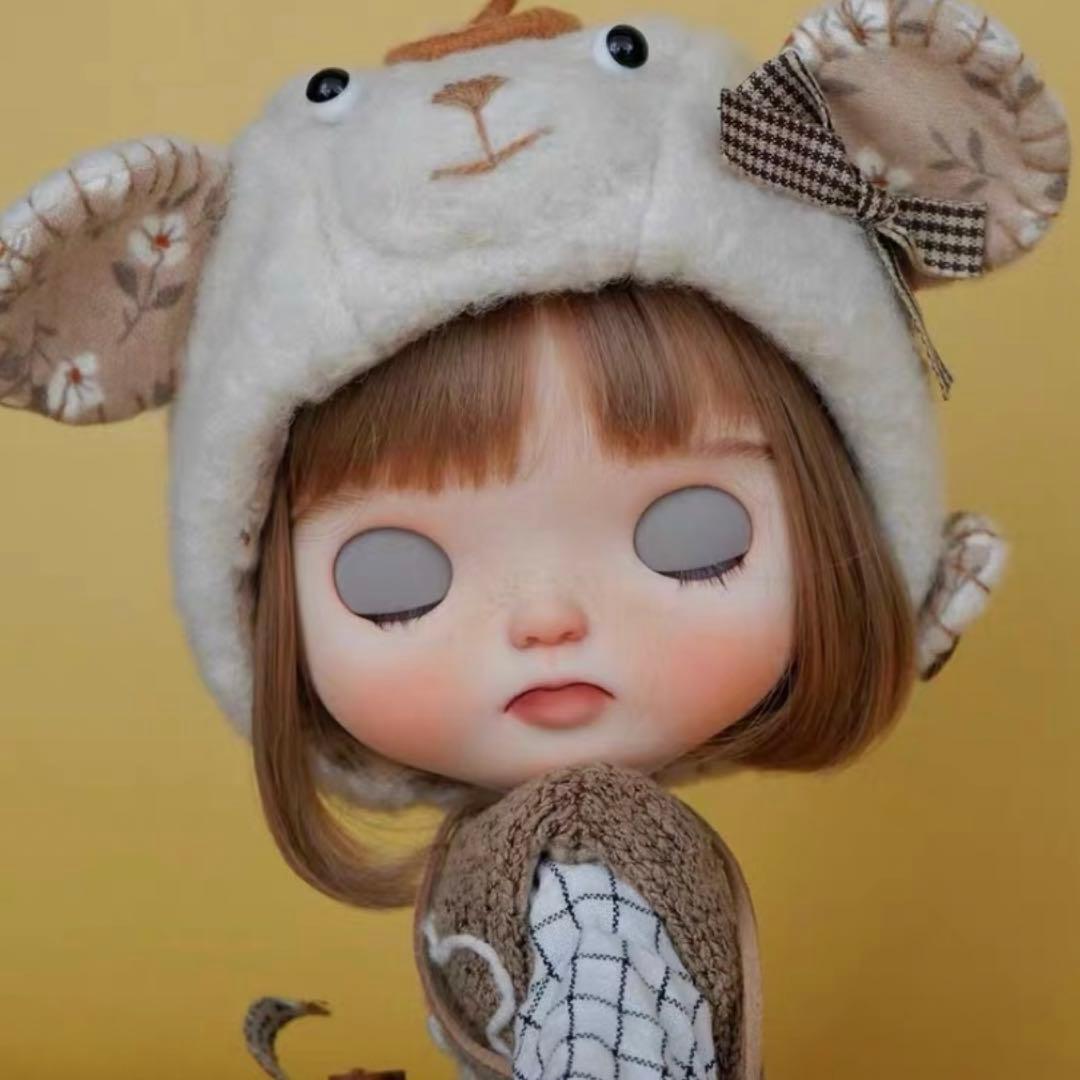 カスタムブライス フルセット 海外作家様 カスタムドール 人形