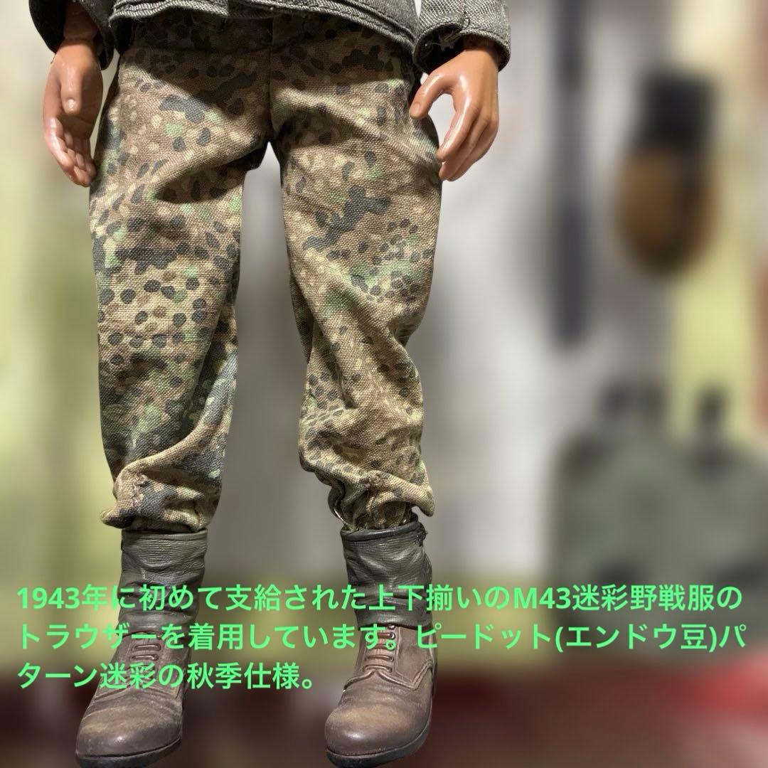 ドラゴンモデルズ1/6 ドイツSS第9装甲擲弾兵師団指揮官ホーコン