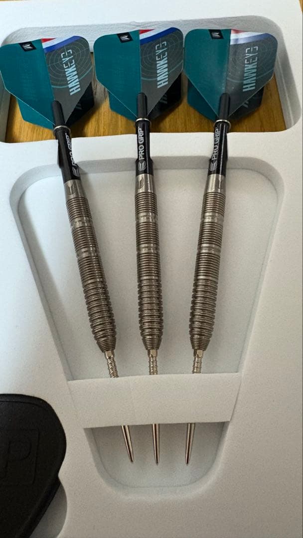 【ダーツ レア】ケビン・ドーツ スイスポイント ターゲット