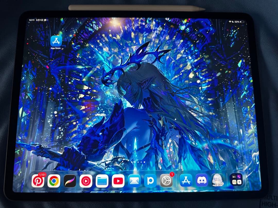【ami 】iPad Pro 12.9インチ 第４世代