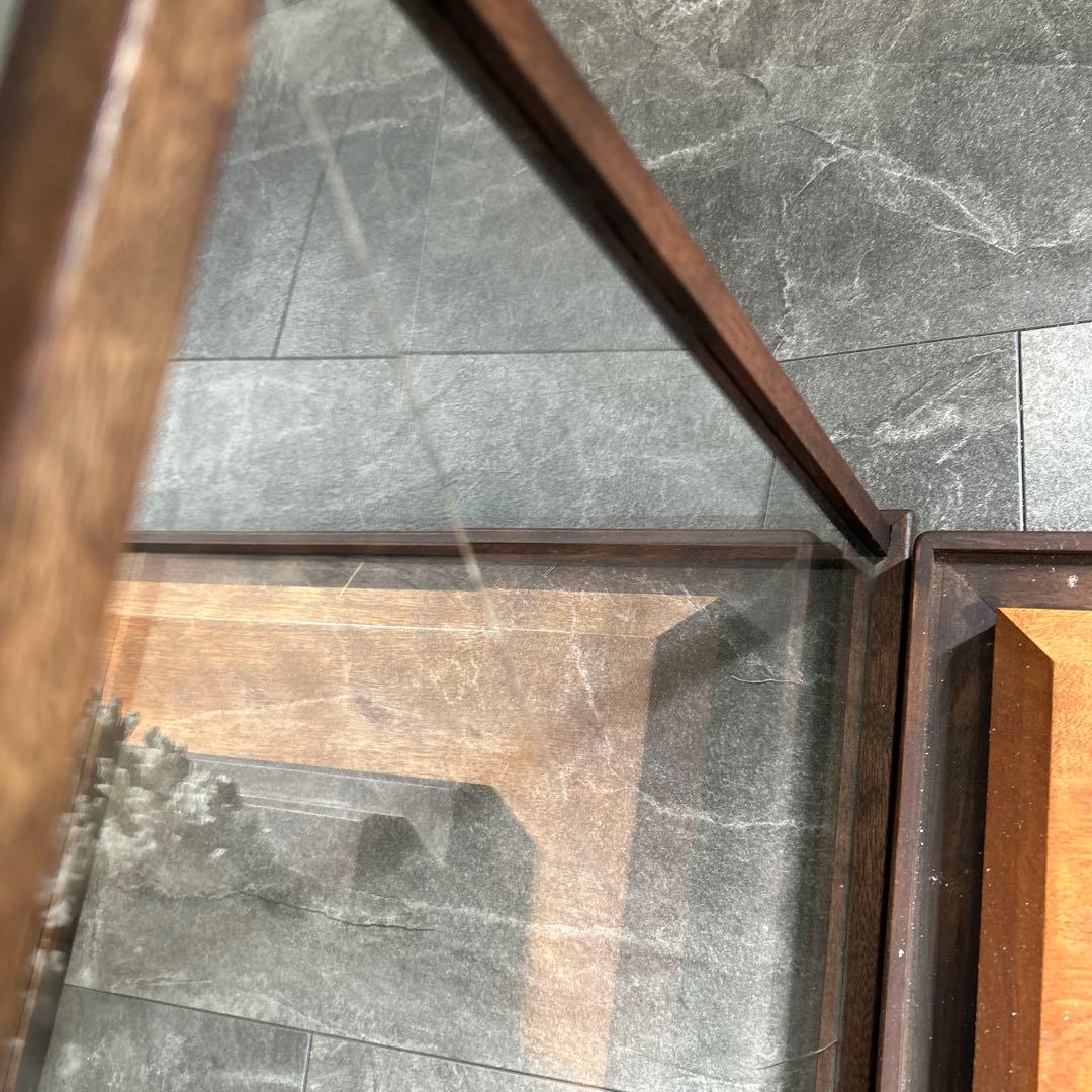 サンゴのディスプレイオブジェ