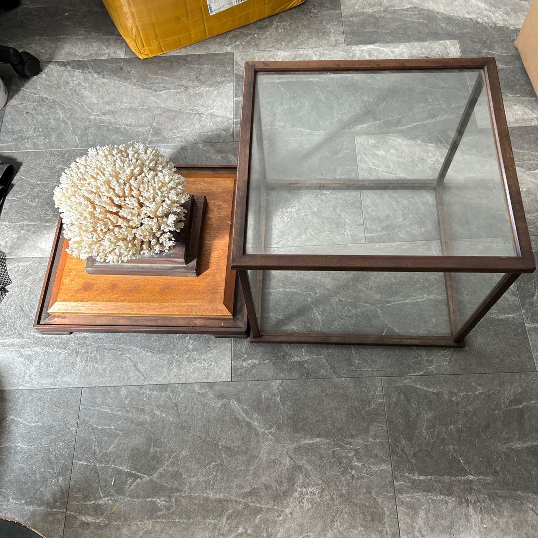 サンゴのディスプレイオブジェ