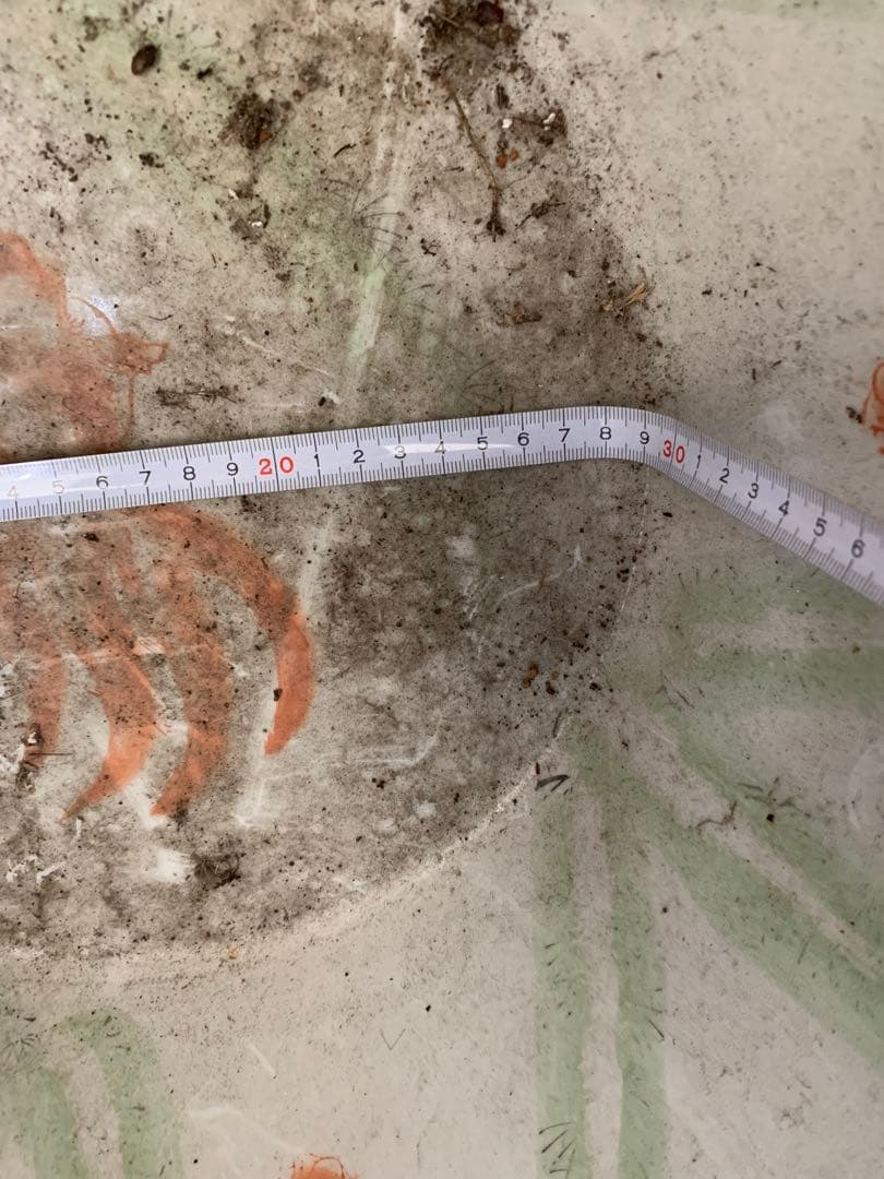 大きめの陶器製水鉢 花と鳥の絵柄