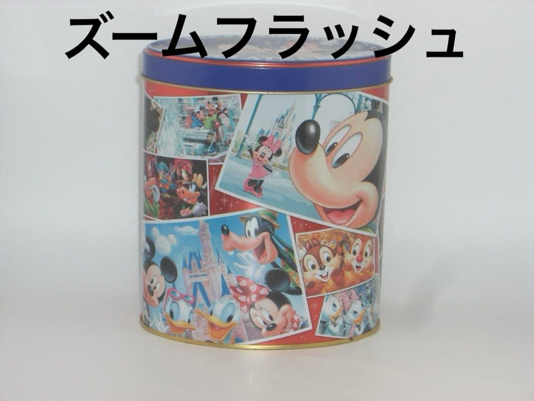 リーダー付⭕️【動作確認済】CASIO カシオ EXILIM EX-Z600