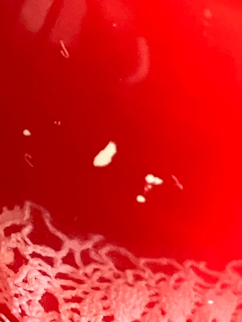 【希少】 RUNE 内藤ルネさん トマト　貯金箱