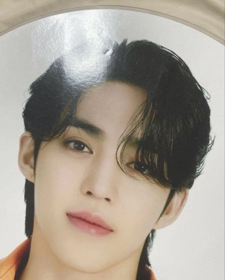 SEVENTEEN エスクプス うちわセット