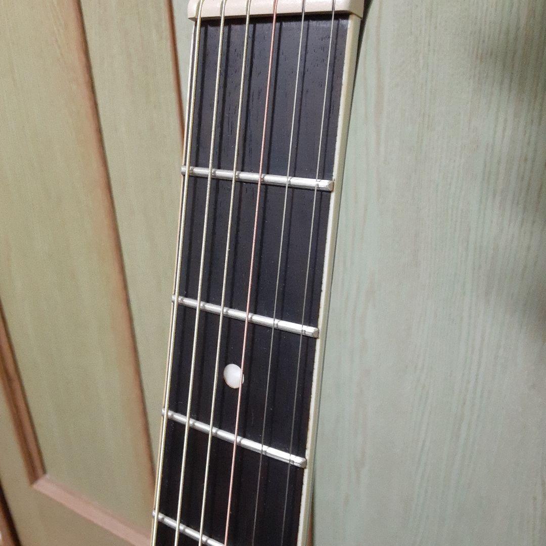 James JE40 エレアコ　ギター ブラック