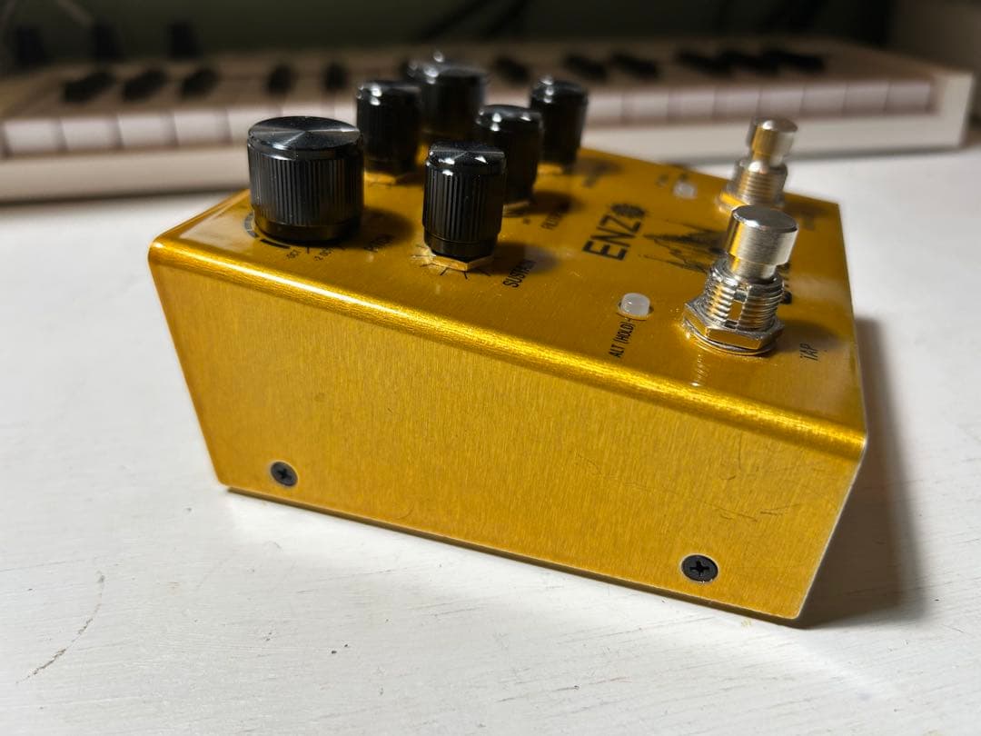 Meris ENZO エフェクター ギター シンセ