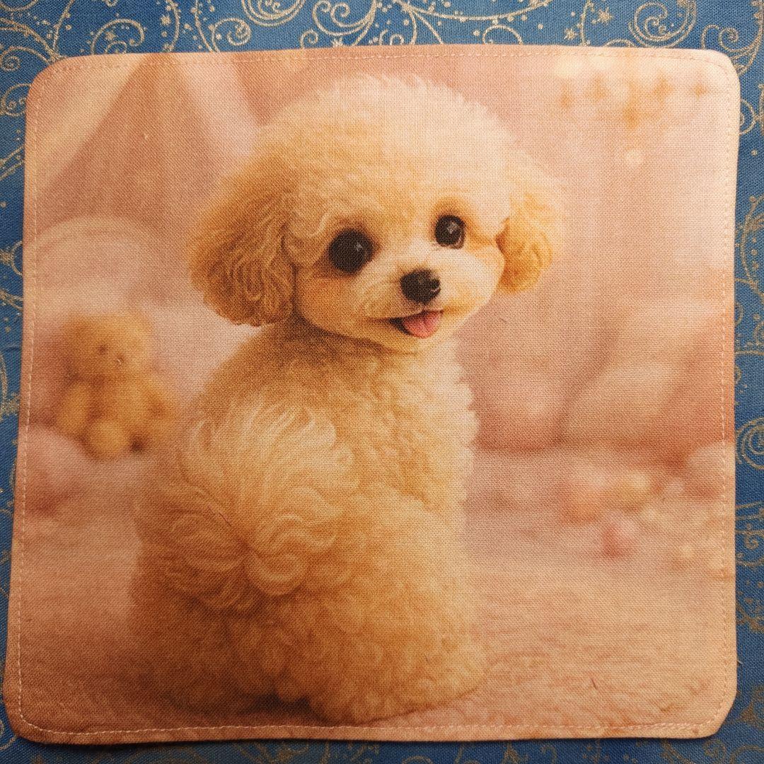 ご確認用　パニャ　ハンカチ　ハンドメイド　17枚