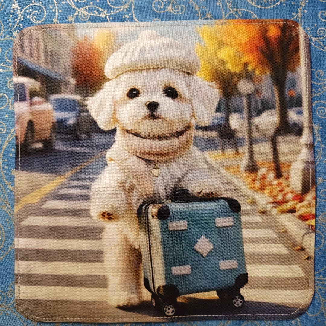 ご確認用　パニャ　ハンカチ　ハンドメイド　17枚