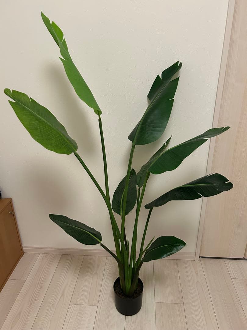 ニトリ　フェイクグリーン　トラベラーズパーム