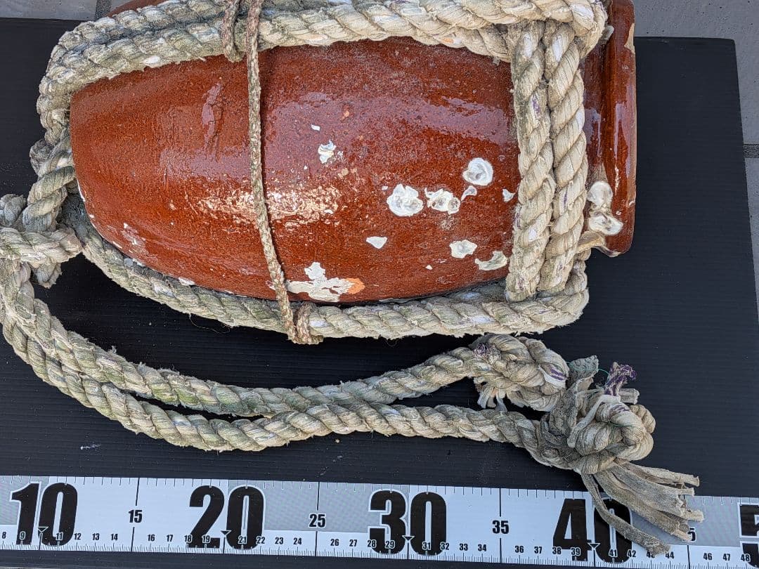 瀬戸内海海上がり全長２８Ｘ口幅１３Ｘ胴径６０Ｘ重さ２キロ風流な綱付大ダコ蛸壺飾り