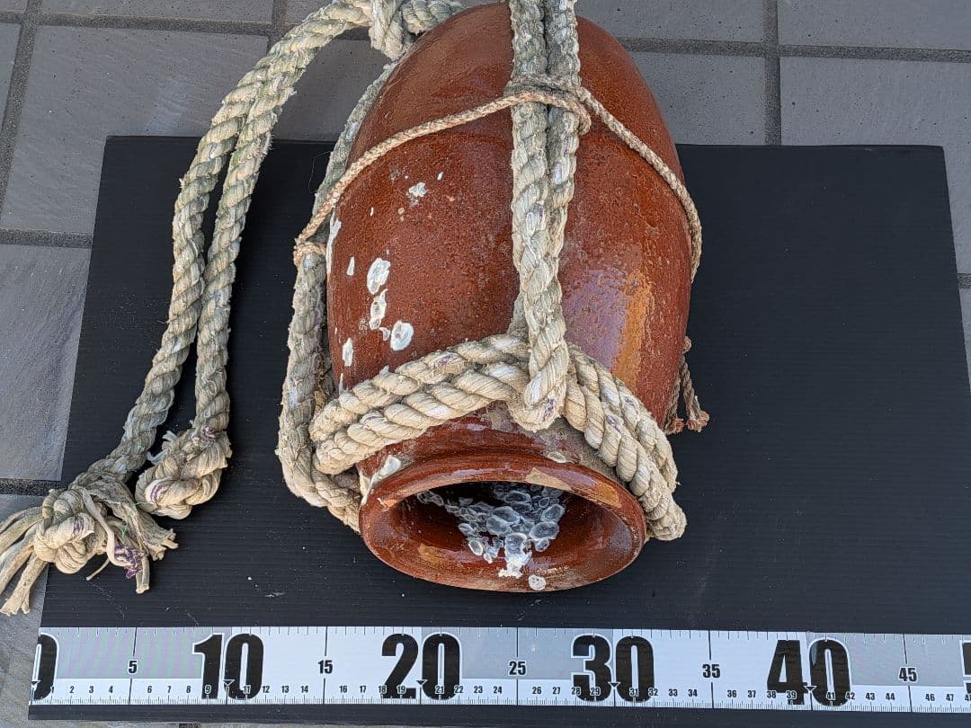 瀬戸内海海上がり全長２８Ｘ口幅１３Ｘ胴径６０Ｘ重さ２キロ風流な綱付大ダコ蛸壺飾り