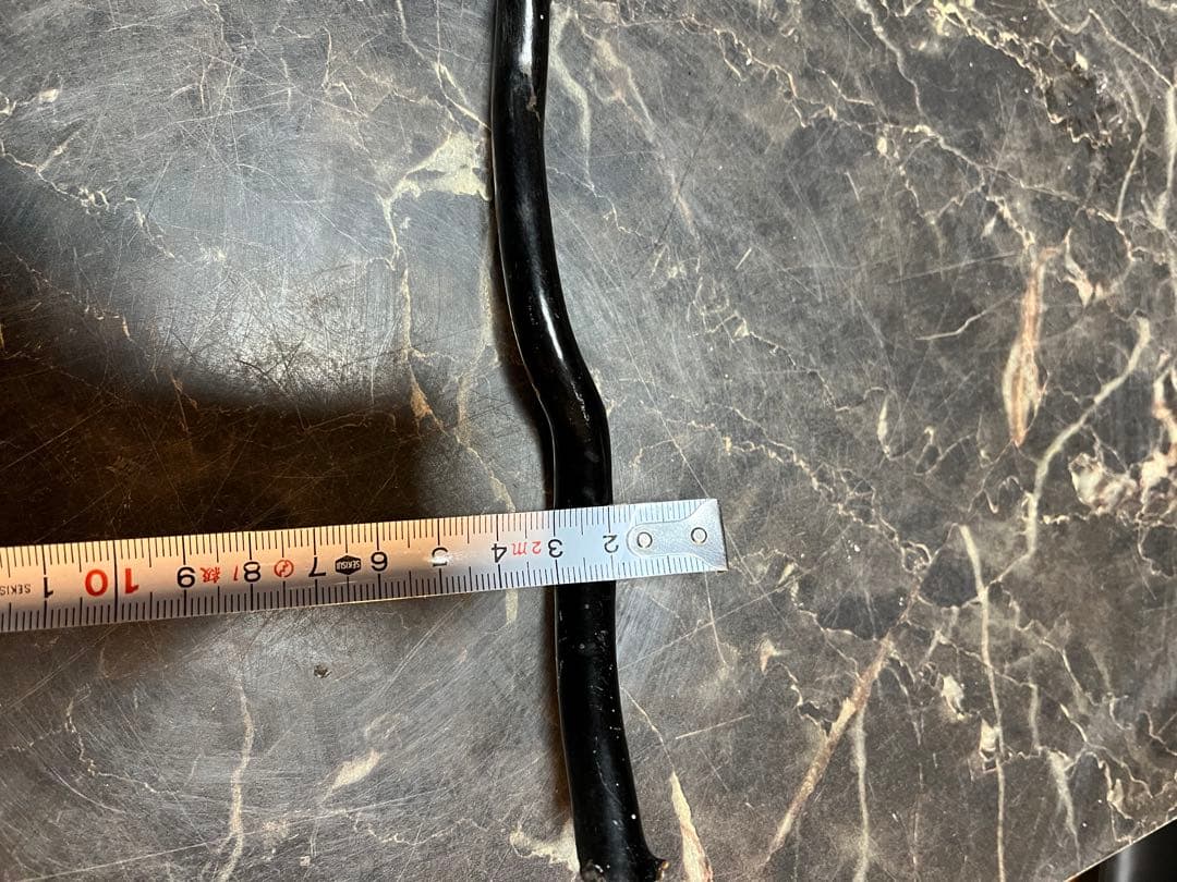 黒松珊瑚、海松、黒海松、深海珊瑚、黒珊瑚、