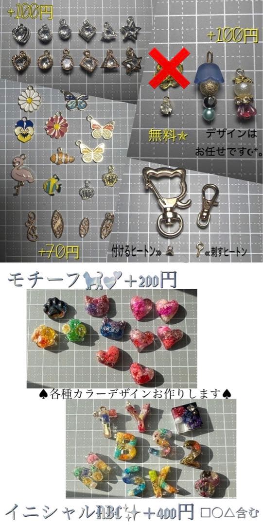 ꫛꫀꪝ【No.251】qPIGpのギラギラRainbow トカゲ ヤモリ