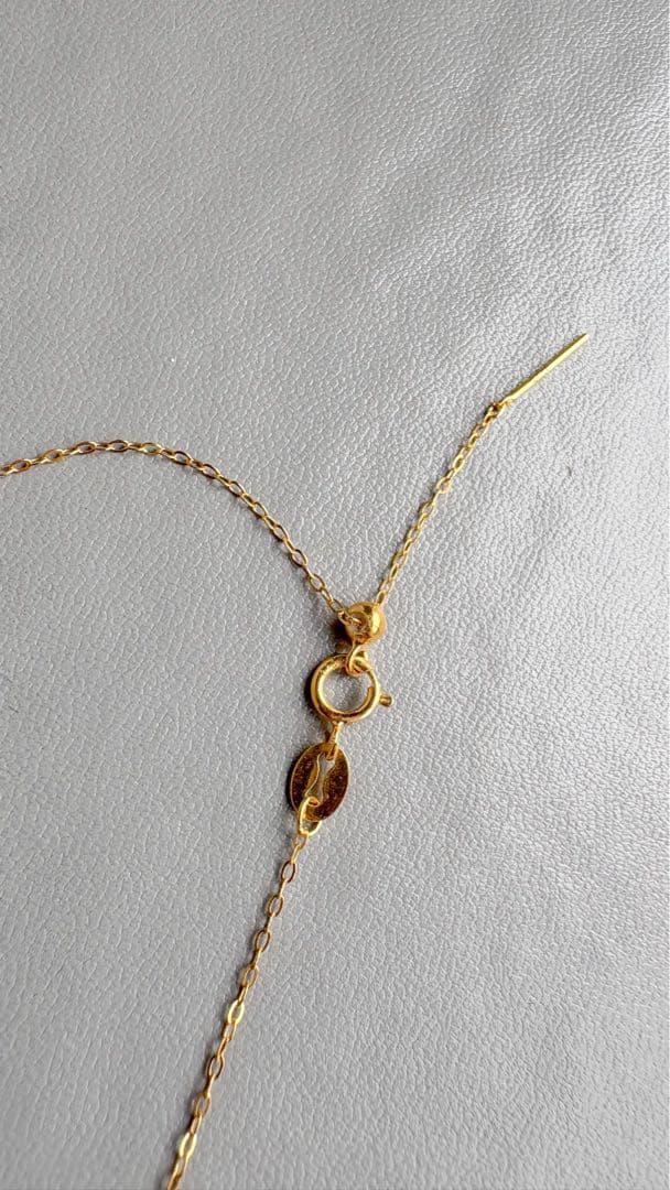 ロシアンブルー様 ラピスラズリ、レッドアゲート ペンダントトップ、チェーン