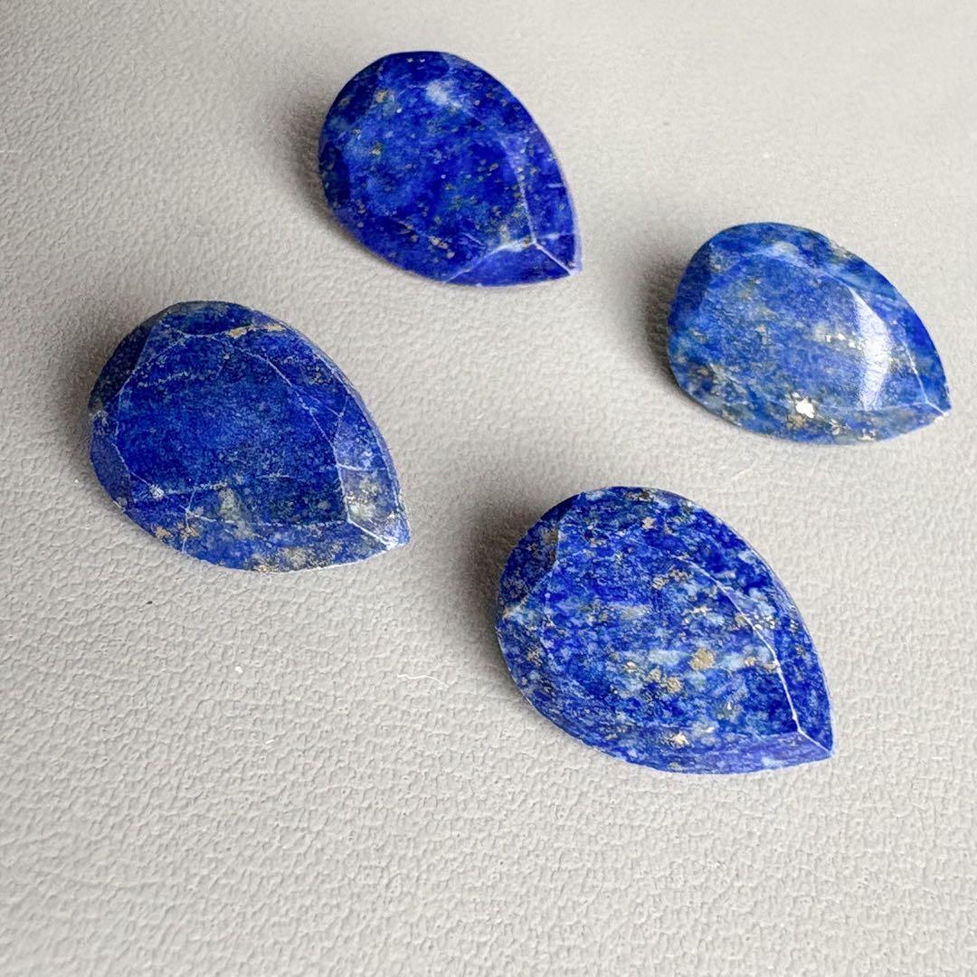 ロシアンブルー様 ラピスラズリ、レッドアゲート ペンダントトップ、チェーン