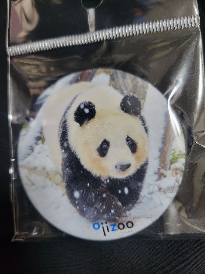 タンタン 王子動物園 限定マグカップ　缶バッジ2個セット