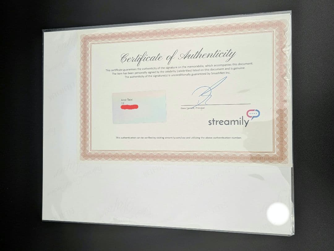 Hazbinhotel Alastor 8×10in サイン入りプリント