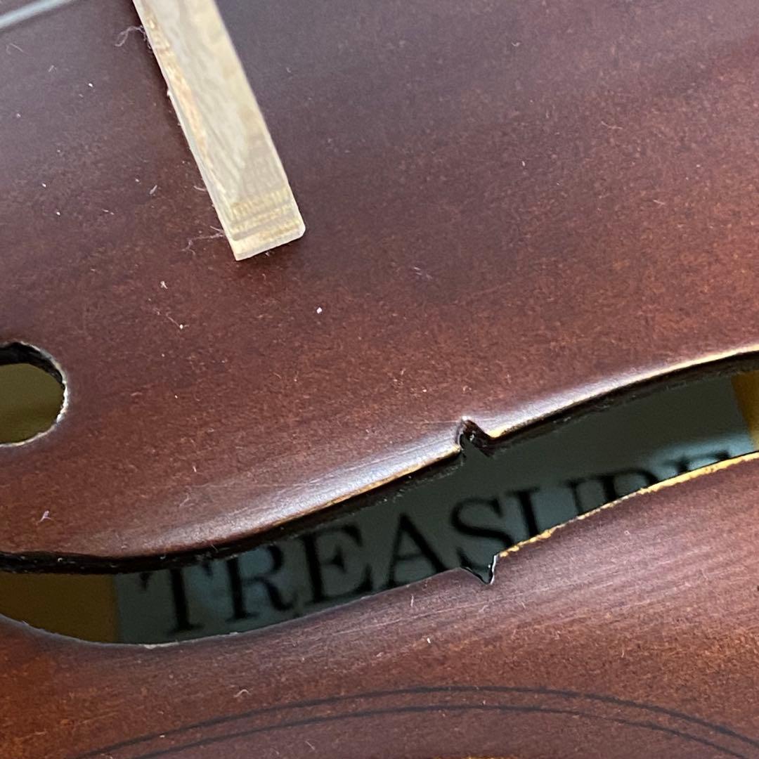 TREASURE 4/4 バイオリン 初心者用 本体 弓 ケース B204