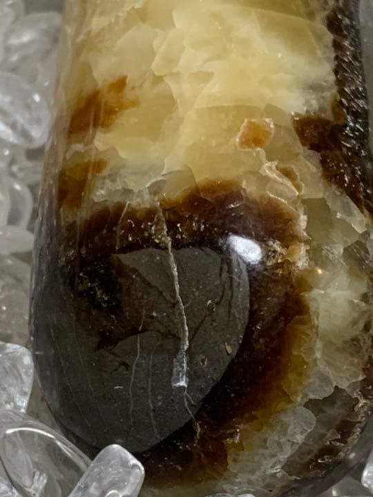 マダガスカル産　セプタリアン