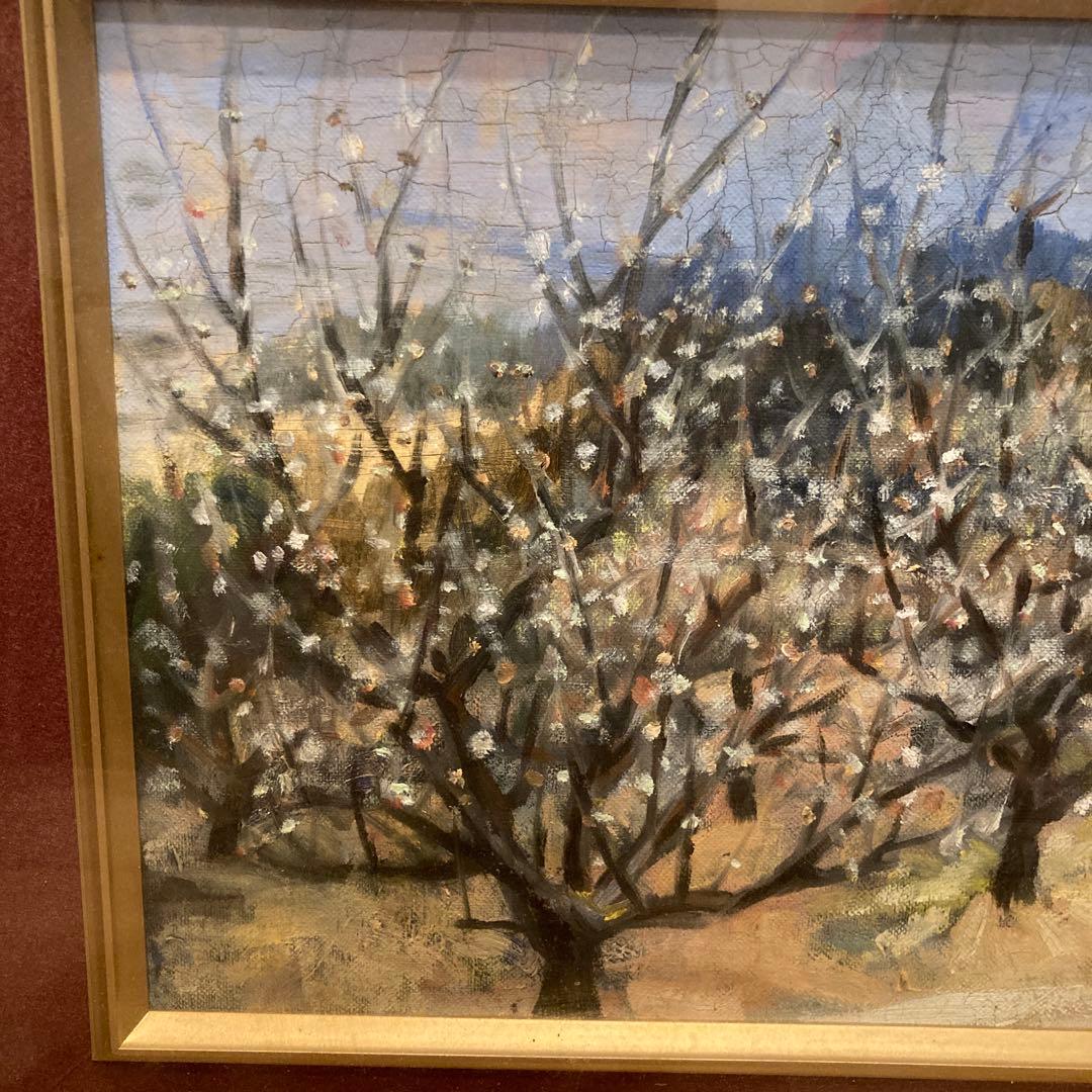 作者不詳 油絵 インテリア 油彩 額装 壁掛け インテリア ディスプレイ 壁飾り