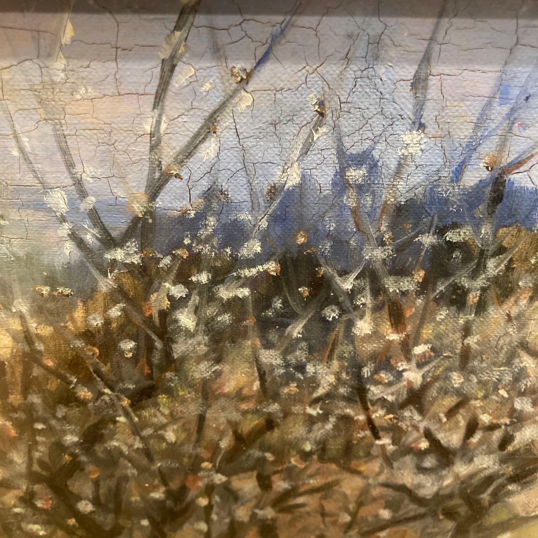 作者不詳 油絵 インテリア 油彩 額装 壁掛け インテリア ディスプレイ 壁飾り