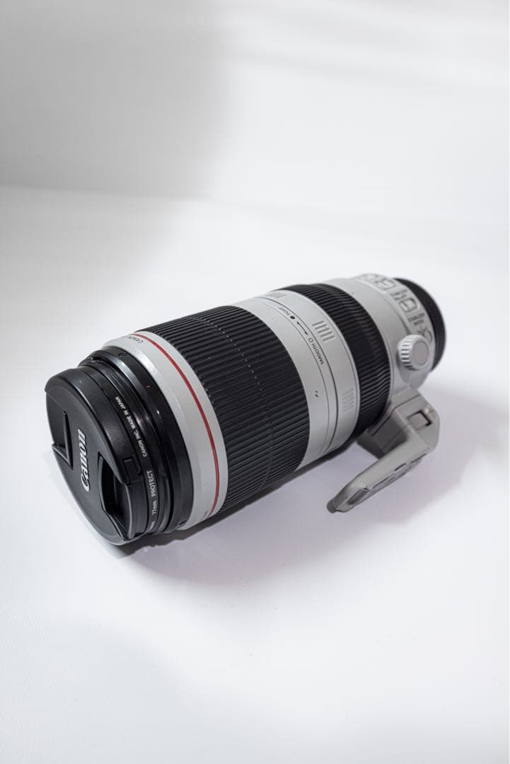 キヤノンEF 100-400mm F4.5-5.6L IS Ⅱ USM