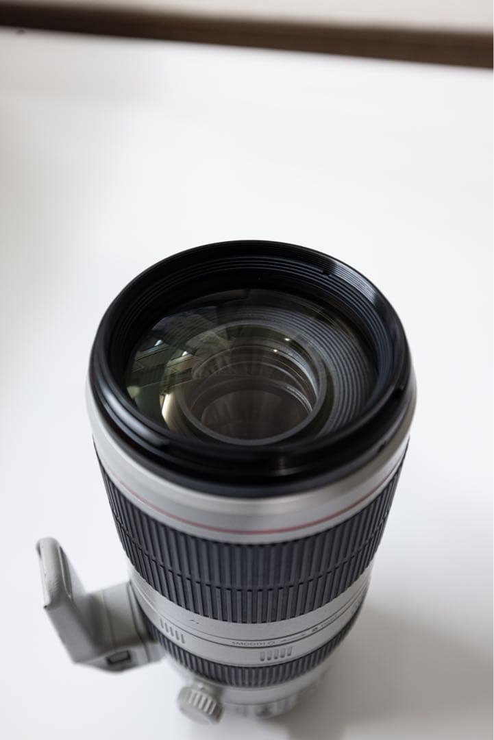 キヤノンEF 100-400mm F4.5-5.6L IS Ⅱ USM