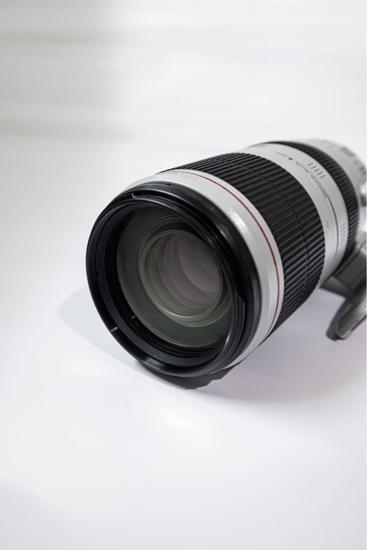 キヤノンEF 100-400mm F4.5-5.6L IS Ⅱ USM