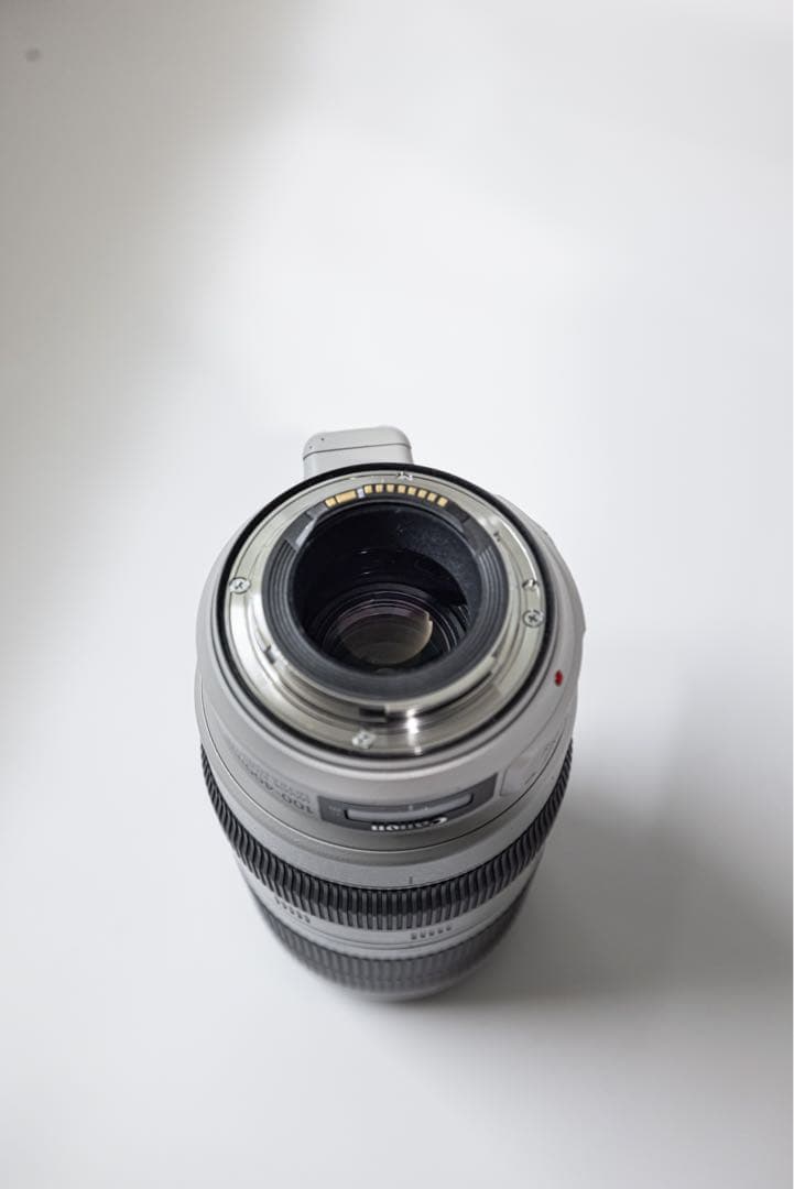 キヤノンEF 100-400mm F4.5-5.6L IS Ⅱ USM