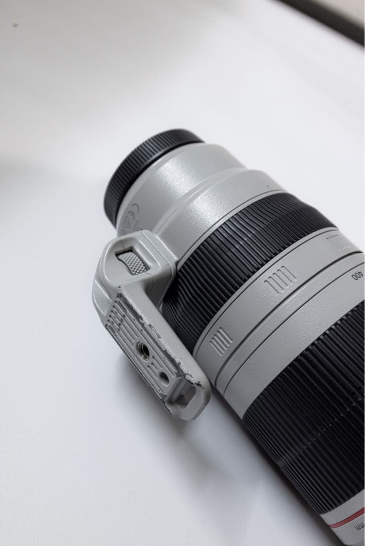 キヤノンEF 100-400mm F4.5-5.6L IS Ⅱ USM
