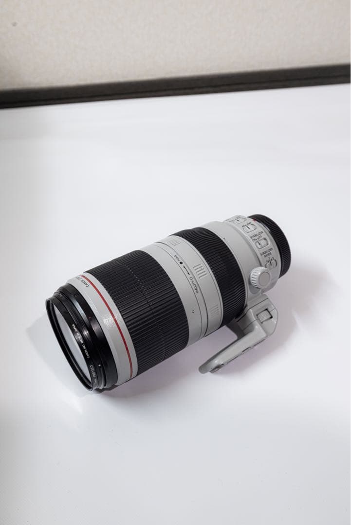 キヤノンEF 100-400mm F4.5-5.6L IS Ⅱ USM