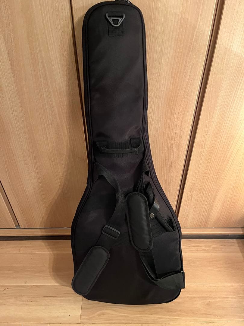 Ibanez RGD61ALA 6弦 エレキG EMG／RGD 専用ケース付