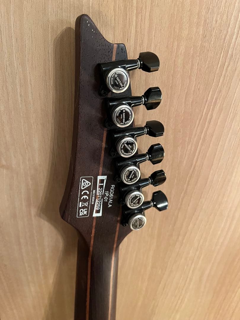 Ibanez RGD61ALA 6弦 エレキG EMG／RGD 専用ケース付