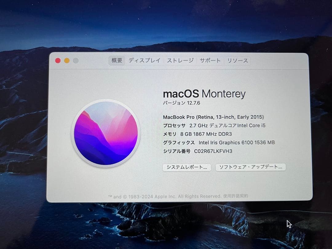 Apple MacBook pro early2015 13インチ 本体