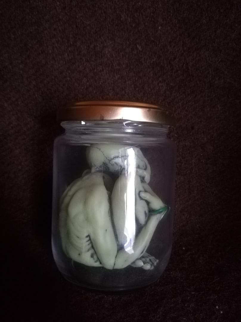 FEWTURE MODELS JAR OF PUS（蓄光） PUSHEAD