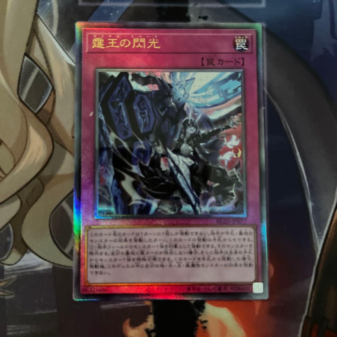 遊戯王 調和ノ天救竜 & 霆王の閃光 レリーフ　セット