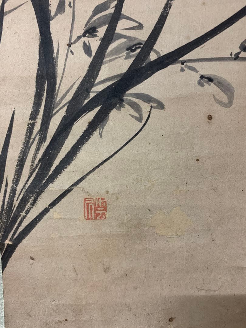 『1753』翠巌承堅 蘭画賛 江戸中期 臨済宗 天龍寺三秀院 掛軸