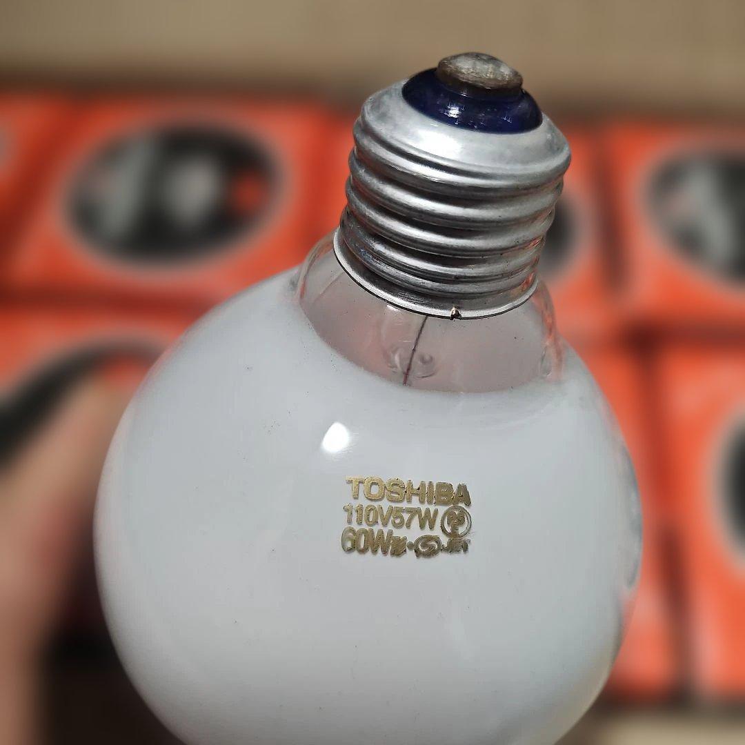 9個のボールTOSHIBA パルックボール YOU 60W