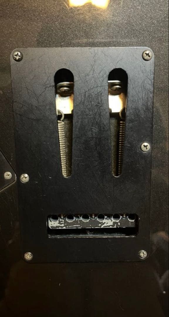 FERNANDES Regulus youモデル（Janne Da Arc）