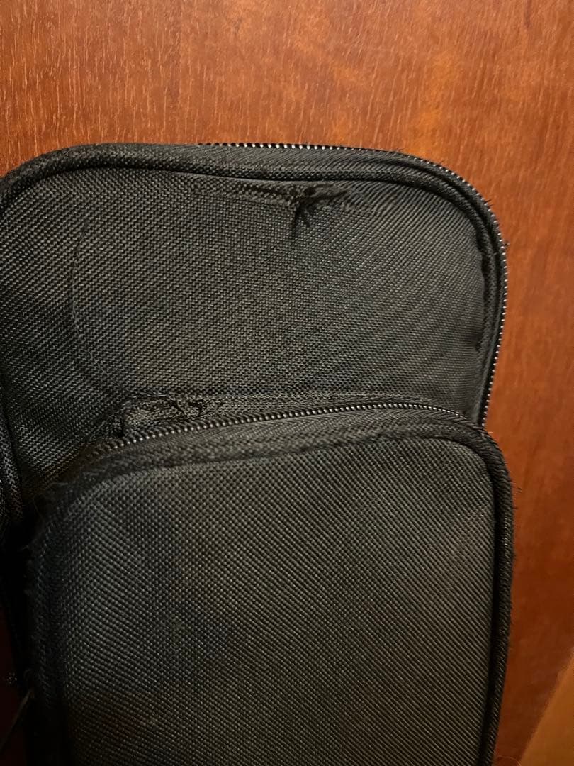 FERNANDES Regulus youモデル（Janne Da Arc）