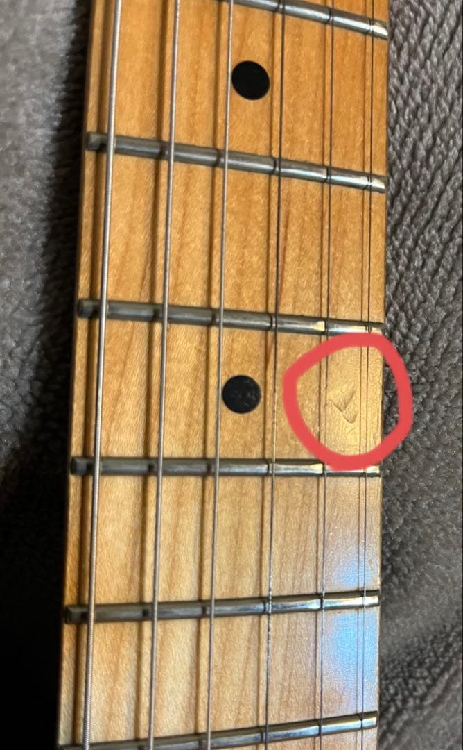 FERNANDES Regulus youモデル（Janne Da Arc）