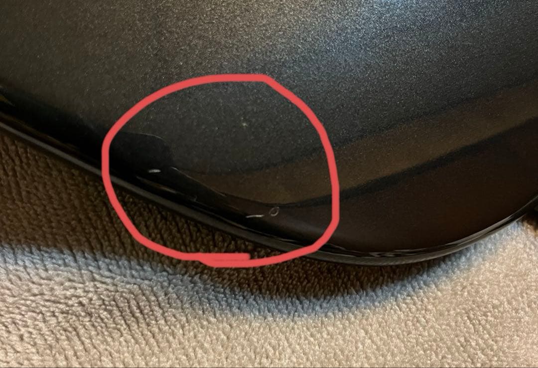 FERNANDES Regulus youモデル（Janne Da Arc）